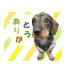 挨拶します（個別スタンプ：3）