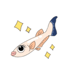 あしめだか（個別スタンプ：1）