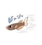 あしめだか（個別スタンプ：3）