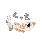 あしめだか（個別スタンプ：4）