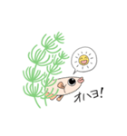 あしめだか（個別スタンプ：5）