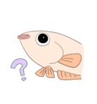 あしめだか（個別スタンプ：11）