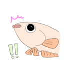 あしめだか（個別スタンプ：12）