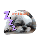 rico-stanp（個別スタンプ：6）