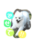 モカラニアン その3（個別スタンプ：3）
