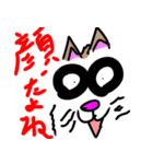 ワル猫 ネコ（個別スタンプ：12）