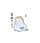 だるインコ てんちゃん（個別スタンプ：8）