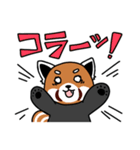 ぱんだふる x LINEオープン記念（個別スタンプ：16）