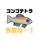 ちょっとおかしな熱帯魚（個別スタンプ：4）