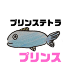 ちょっとおかしな熱帯魚（個別スタンプ：11）