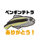 ちょっとおかしな熱帯魚（個別スタンプ：12）