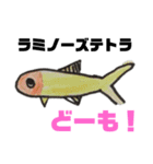 ちょっとおかしな熱帯魚（個別スタンプ：13）