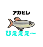 ちょっとおかしな熱帯魚（個別スタンプ：15）