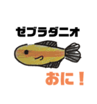 ちょっとおかしな熱帯魚（個別スタンプ：20）