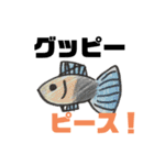 ちょっとおかしな熱帯魚（個別スタンプ：24）