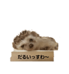 おちぐ（個別スタンプ：1）