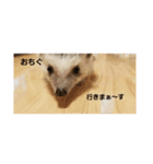 おちぐ（個別スタンプ：2）