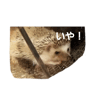 おちぐ（個別スタンプ：4）