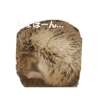 おちぐ（個別スタンプ：5）