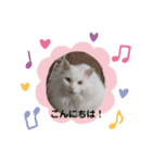フク・チー スタンプ（個別スタンプ：4）