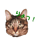 フク・チー スタンプ（個別スタンプ：8）