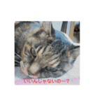 フク・チー スタンプ（個別スタンプ：9）
