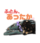 黒柴、一休パート3（個別スタンプ：38）
