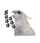 ちわぴーの日常（個別スタンプ：4）