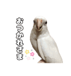 ちわぴーの日常（個別スタンプ：12）