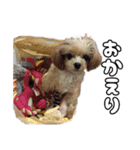 ちわぴーの日常（個別スタンプ：15）