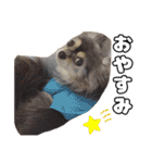 ちわぴーの日常（個別スタンプ：20）