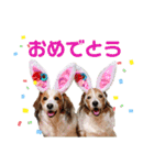 ほんわかエル＆シェリ♡シスターズ（個別スタンプ：1）