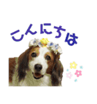 ほんわかエル＆シェリ♡シスターズ（個別スタンプ：2）