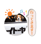 ほんわかエル＆シェリ♡シスターズ（個別スタンプ：6）