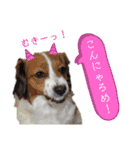 ほんわかエル＆シェリ♡シスターズ（個別スタンプ：7）