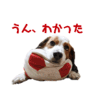 ほんわかエル＆シェリ♡シスターズ（個別スタンプ：8）