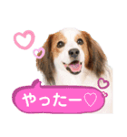 ほんわかエル＆シェリ♡シスターズ（個別スタンプ：13）