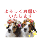 ほんわかエル＆シェリ♡シスターズ（個別スタンプ：16）