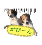 ほんわかエル＆シェリ♡シスターズ（個別スタンプ：21）