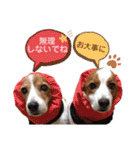 ほんわかエル＆シェリ♡シスターズ（個別スタンプ：24）