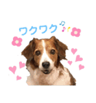 ほんわかエル＆シェリ♡シスターズ（個別スタンプ：26）