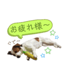 ほんわかエル＆シェリ♡シスターズ（個別スタンプ：27）