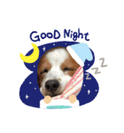 ほんわかエル＆シェリ♡シスターズ（個別スタンプ：30）