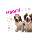 ほんわかエル＆シェリ♡シスターズ（個別スタンプ：31）