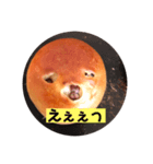 あずき豆モーニングさん リアクション編（個別スタンプ：2）