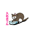 まる+胡桃+すず4（個別スタンプ：24）