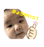 かずたんの日常（個別スタンプ：5）
