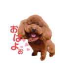 イヴちゃんスタンプーー（個別スタンプ：1）