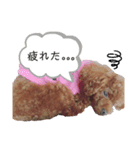 イヴちゃんスタンプーー（個別スタンプ：6）