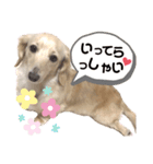 イーちゃんのスタンプー（個別スタンプ：7）